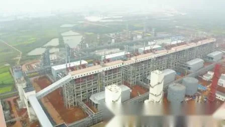 Gaseificador de Leito Fluidizado Circulante 80000nm3/H Fabricado na China